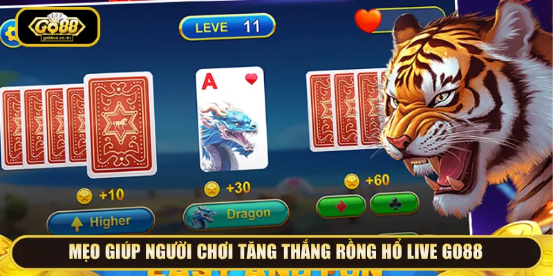 Áp dụng mẹo chơi Rồng Hổ Live để tận dụng cơ hội thắng